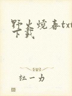 野火烧春txt下载