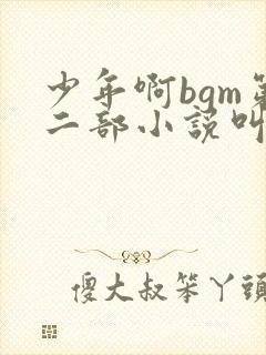 少年啊bgm第二部小说叫什么