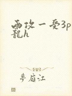 两攻一受3p双龙h