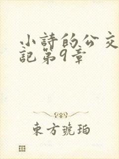 小诗的公交车日记第9章