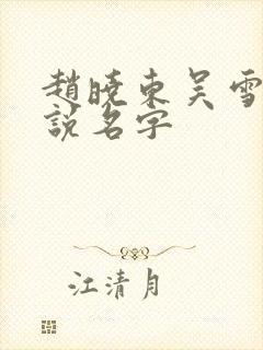 赵晓东吴雪晴小说名字