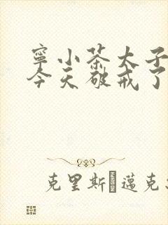宁小茶太子殿下今天破戒了吗免费阅读