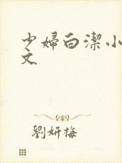 少妇白洁小说全文