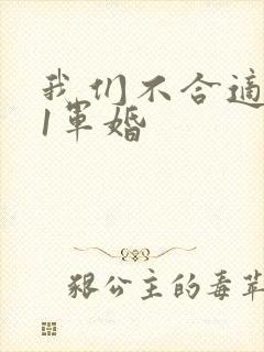 我们不合适1v1军婚