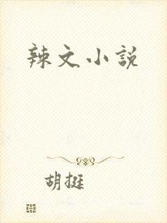 辣文小说