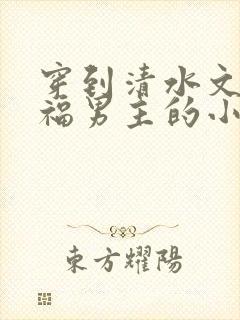 穿到清水文里造福男主的小说