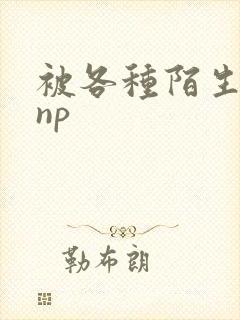 被各种陌生人 np