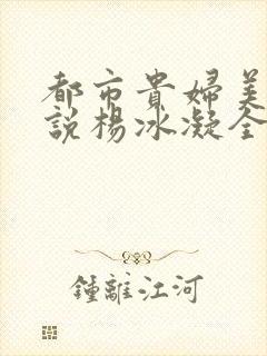 都市贵妇美腿小说杨冰凝全文阅读