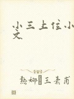 小三上位小说全文