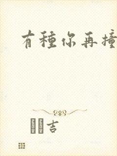 有种你再撞一下