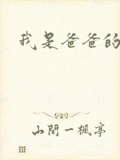 我是爸爸的玩具