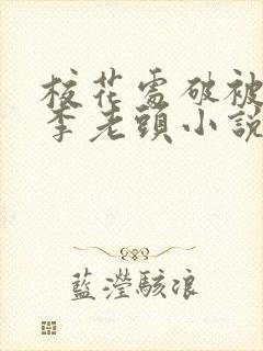 校花处破被灌满李老头小说