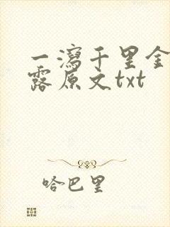 一泻千里金银花露原文txt