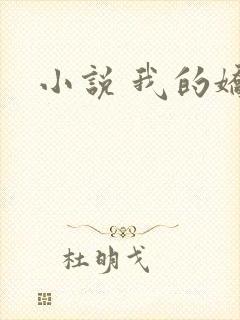 小说 我的娇妻