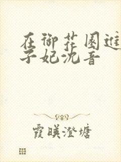 在御花园进入太子妃沈音