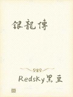银龙传