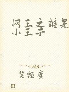 网王之谁是我的小王子