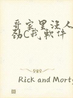 哥家里没人使点劲C我软件