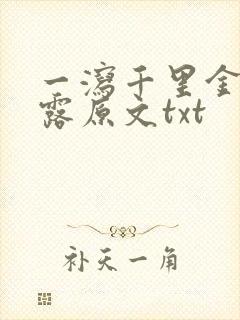 一泻千里金银花露原文txt