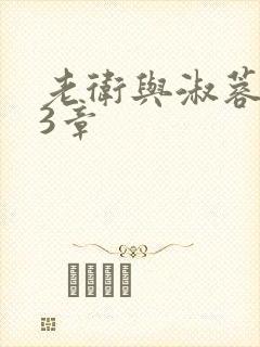 老卫与淑蓉第13章