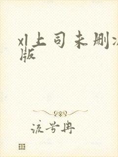 xl上司未删减版