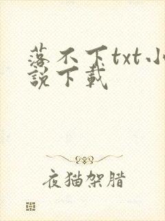 落不下txt小说下载