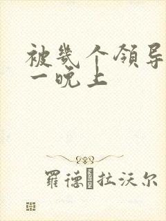 被几个领导玩弄一晚上