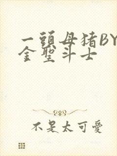 一头母猪BY黄金圣斗士