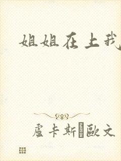 姐姐在上我在下