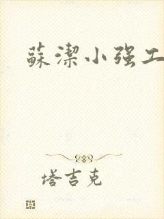 苏洁小强工地情