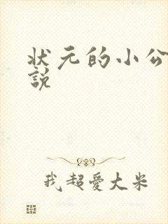 状元的小公主小说