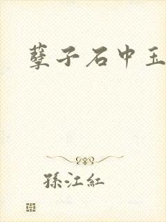 孽子石中玉