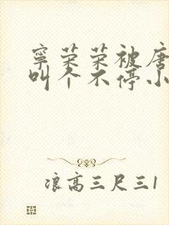 宁荣荣被唐三桶叫个不停小说