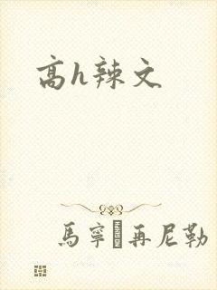 高h辣文