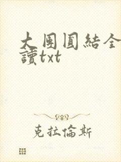 大团圆结全文阅读txt