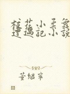 校花小柔舞蹈室遭遇记小说