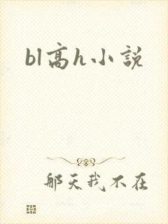 bl高h小说