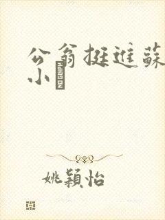公翁挺进苏玥的小泬