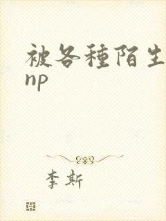 被各种陌生人 np