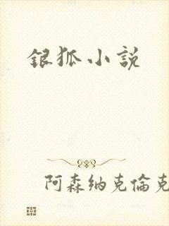 银狐小说