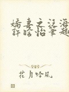 娇妻之泛海之舟许晗怡笔趣阁