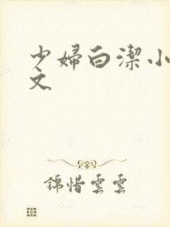少妇白洁小说全文