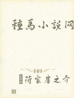 种马小说网