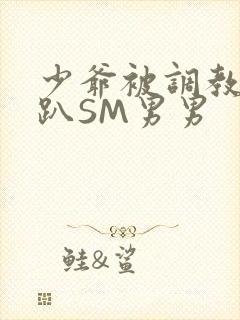 少爷被调教室跪趴SM男男