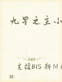 九星之主小说