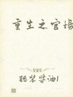 重生之官场风流