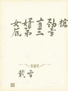 女婿有劲枪枪到底第三章