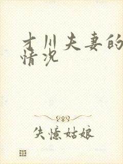 才川夫妻的恋爱情况