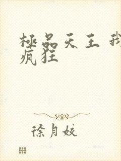 极品天王 我本疯狂