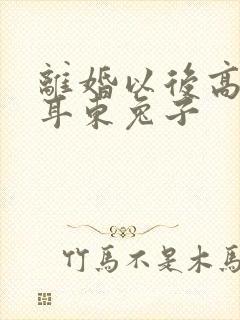 离婚以后高干 耳东兔子